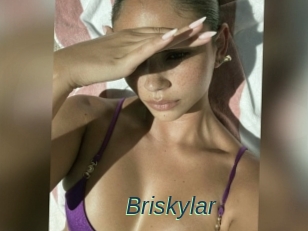 Briskylar