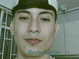 Brunofalcon