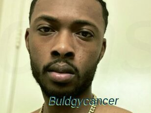 Buldgycancer