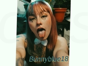 Bunnyblue18