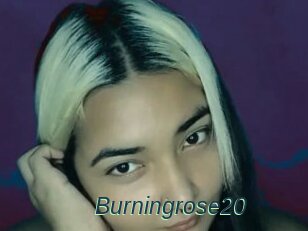 Burningrose20