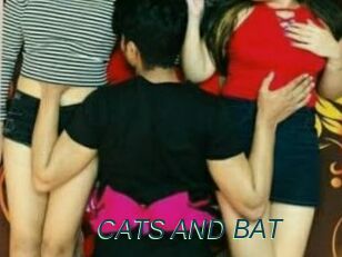 CATS_AND_BAT