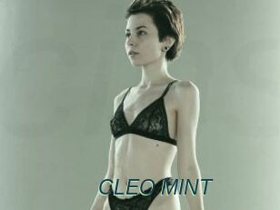 CLEO_MINT