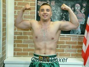 CarlitoBoxer