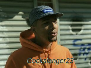 Cockslanger23