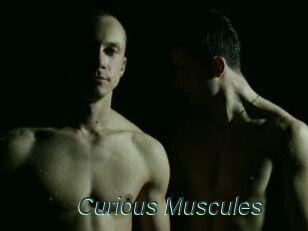 Curious_Muscules