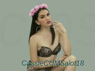 CassieCUMSalot18