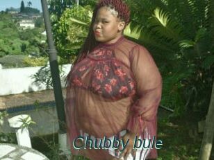 Chubby_bule