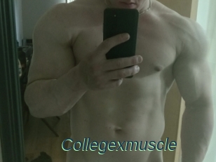 Collegexmuscle