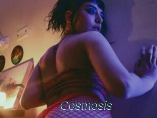 Cosmosis