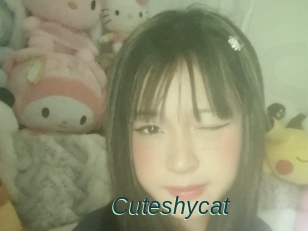 Cuteshycat