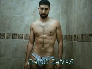 DAVID_ZANAS