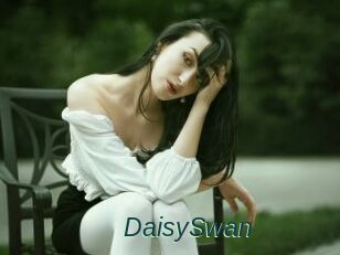 DaisySwan