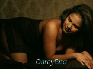 DarcyBird