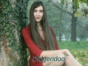 Didgeridoo