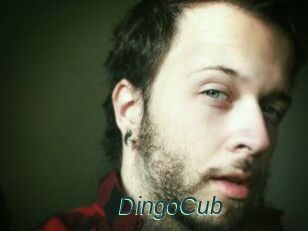 DingoCub