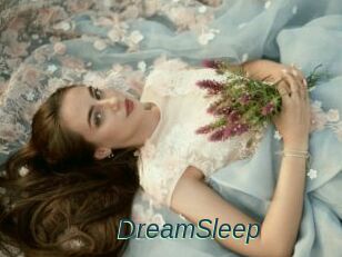 DreamSleep