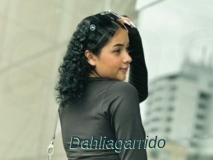 Dahliagarrido