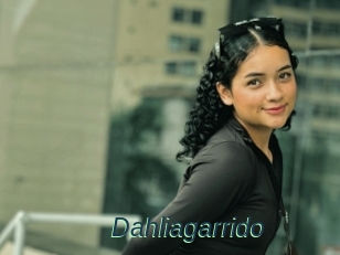 Dahliagarrido