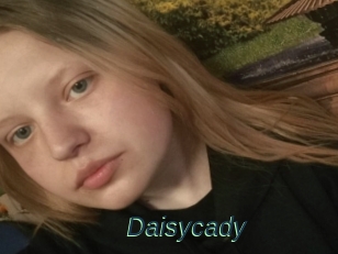 Daisycady