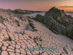 Davidhmodel