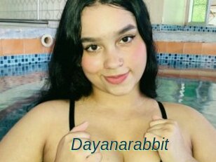 Dayanarabbit