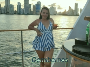 Demibarnes