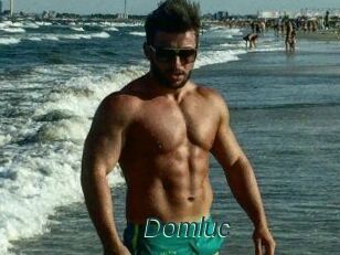 Domluc