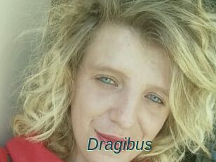 Dragibus