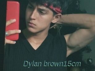 Dylan_brown15cm