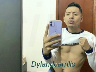 Dylandcarrillo