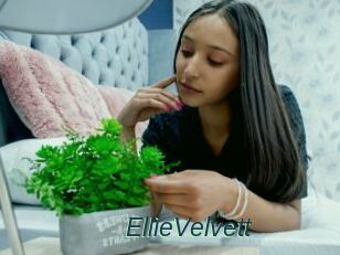 EllieVelvett