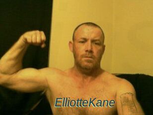 Elliotte_Kane