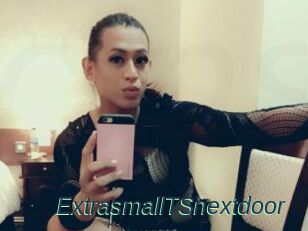 ExtrasmallTSnextdoor