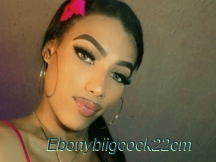 Ebonybiigcock22cm