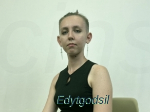 Edytgodsil