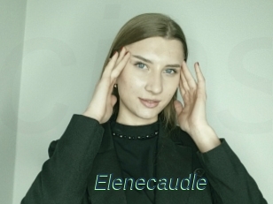 Elenecaudle