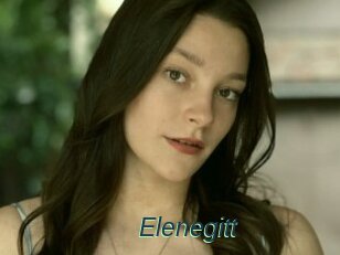 Elenegitt