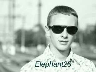 Elephant25