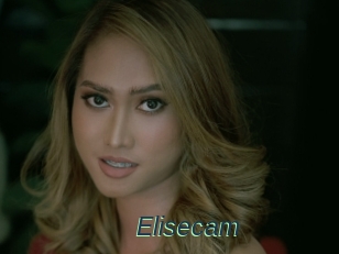 Elisecam