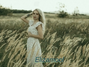 Elizamool