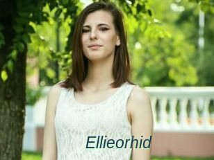 Ellieorhid