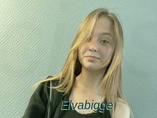 Elvabigge