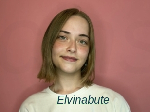 Elvinabute