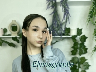 Elvinagrindle