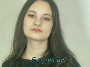 Elwynabach