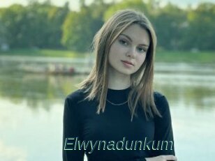 Elwynadunkum