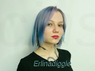 Erlinadiggle