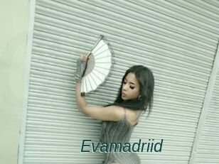 Evamadriid