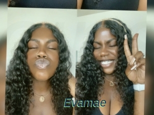 Evamae